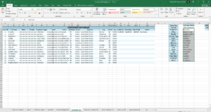 Dynamic Data Handling & Reporting